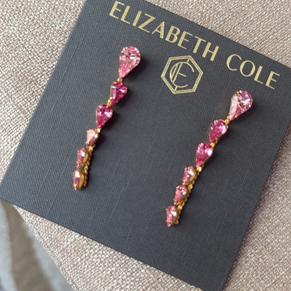 NIB Elizabeth Cole Luca Earrings $261 insane deal